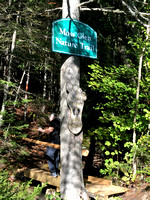 #16:  Moss Glen Trail - Sept 19