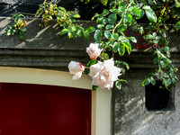 Margot's B&B, door with roses over top.
