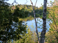 Typical Rockwood lake scene