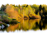 Spring colors reflected in Fisher Lake