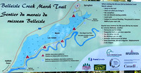 #15 Belleisle Marsh Trail Sept 4 2020